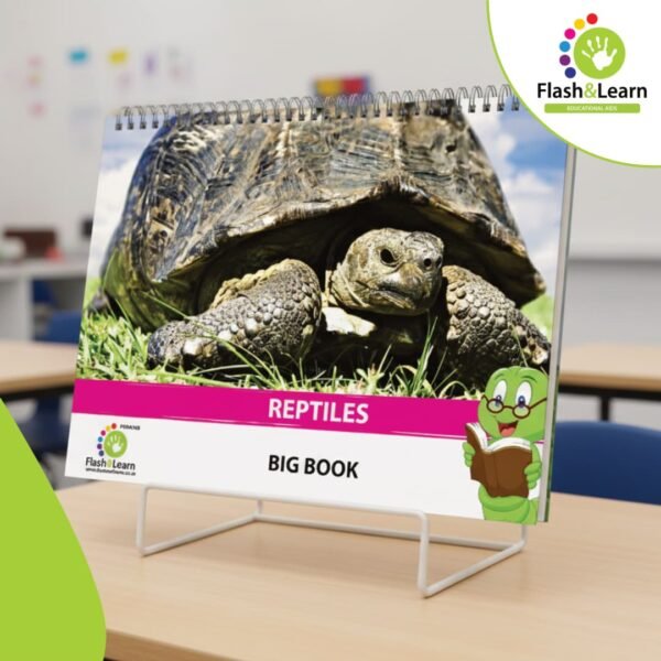 BIG BOOK REPTILES 1