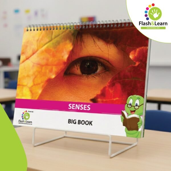 BIG BOOK SENSES 1