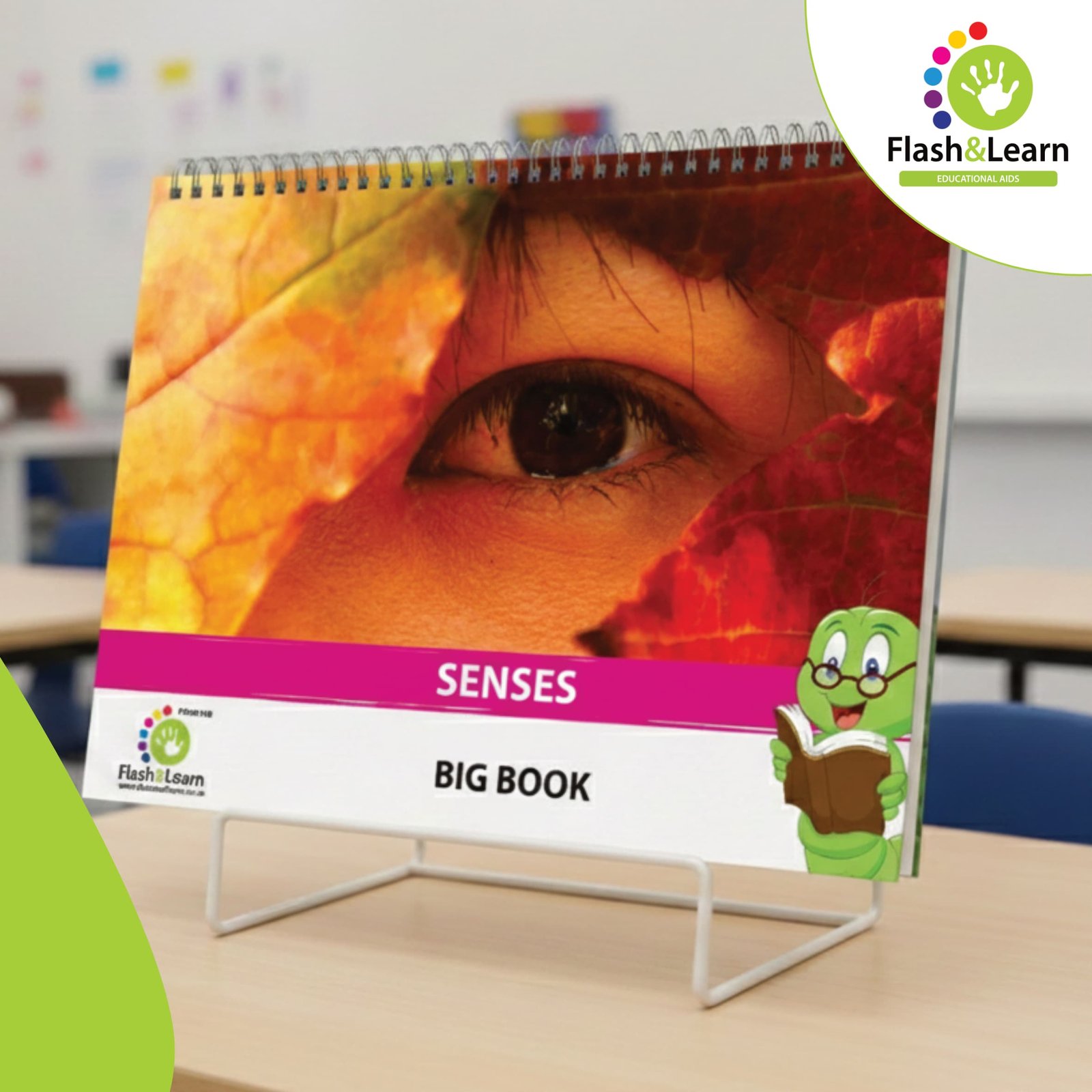 BIG BOOK SENSES 1